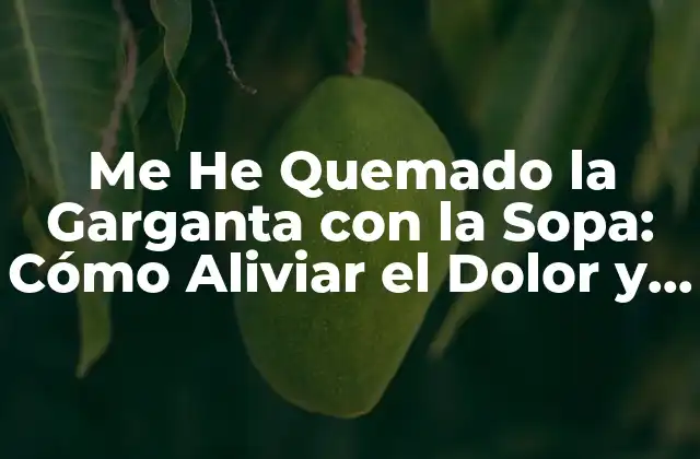 Me He Quemado la Garganta con la Sopa: Cómo Aliviar el Dolor y Prevenir Accidentes
