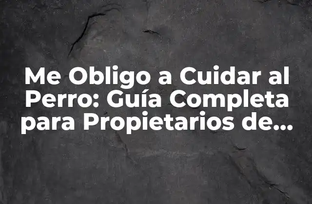 Me Obligo a Cuidar Al Perro: Guía Completa para Propietarios de Perros