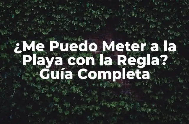 ¿me Puedo Meter a la Playa con la Regla? Guía Completa