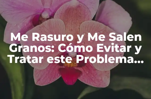 Me Rasuro y Me Salen Granos: Cómo Evitar y Tratar Este Problema Común