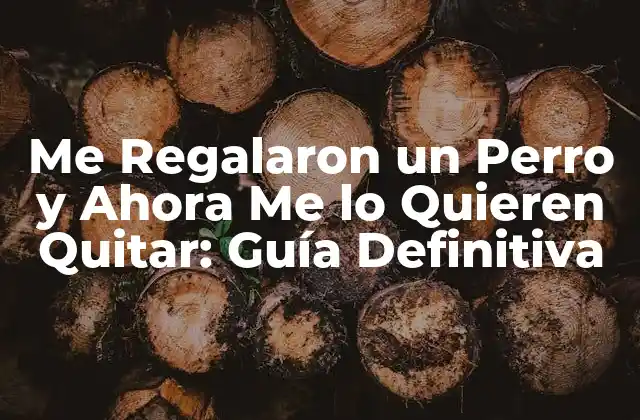 Me Regalaron un Perro y Ahora Me Lo Quieren Quitar: Guía Definitiva