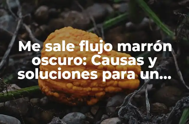 Me Sale Flujo Marrón Oscuro: Causas y Soluciones para un Problema Común