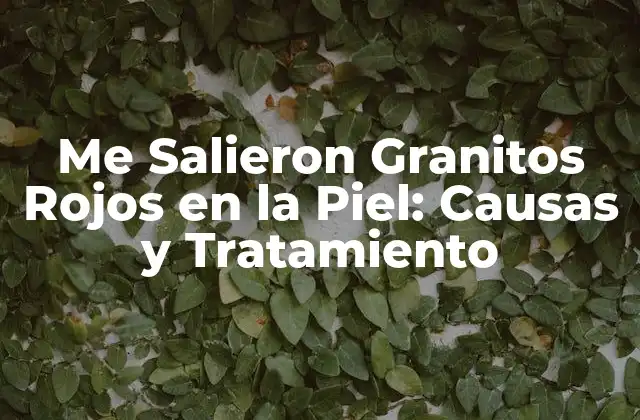 Me Salieron Granitos Rojos en la Piel: Causas y Tratamiento