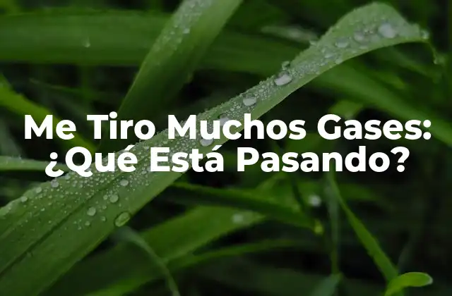 Me Tiro Muchos Gases: ¿qué Está Pasando?