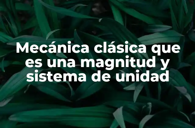 Mecánica Clásica que es una Magnitud y Sistema de Unidad