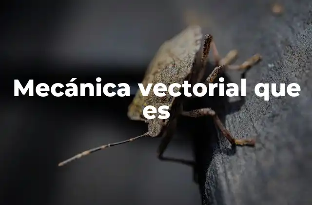 Mecánica Vectorial que es 2 La importancia de los vectores en el análisis de fuerzas
