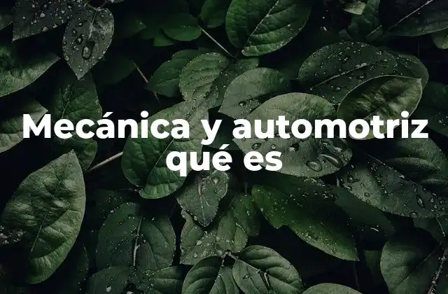 Mecánica y Automotriz Qué es