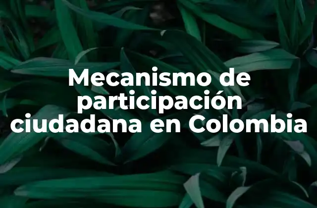 Mecanismo de Participación Ciudadana en Colombia