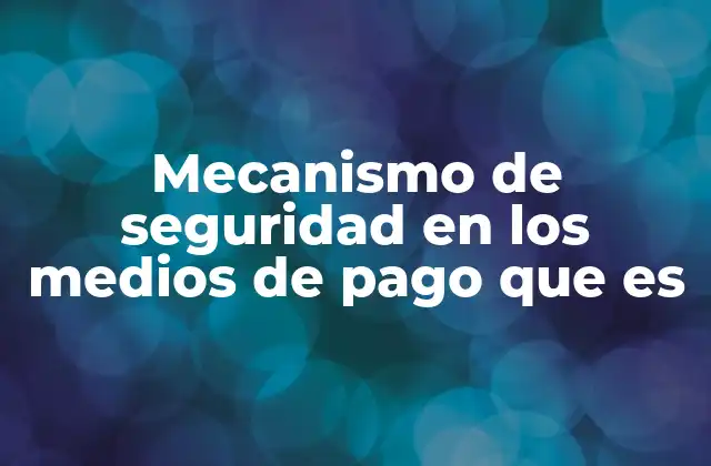 Mecanismo de Seguridad en los Medios de Pago que es