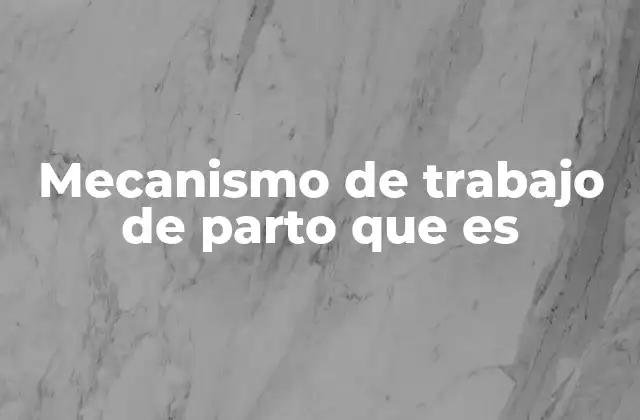 Mecanismo de Trabajo de Parto que es