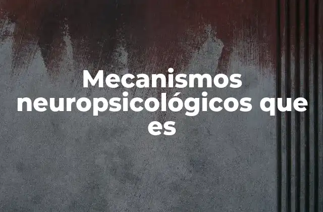 Mecanismos Neuropsicológicos que es