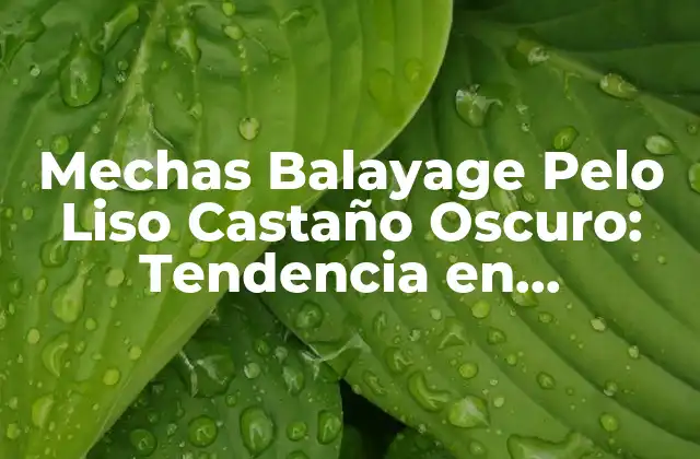 Mechas Balayage Pelo Liso Castaño Oscuro: Tendencia en Coloración de Cabello