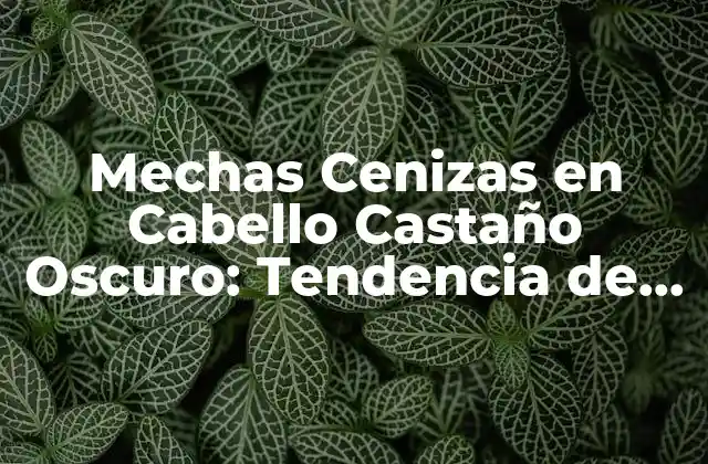 Mechas Cenizas en Cabello Castaño Oscuro: Tendencia de Color de Cabello