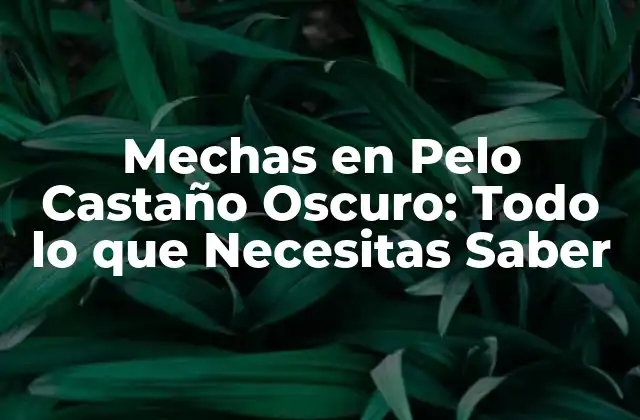Mechas en Pelo Castaño Oscuro: Todo Lo que Necesitas Saber 2 Tipos de Mechas en Pelo Castaño Oscuro