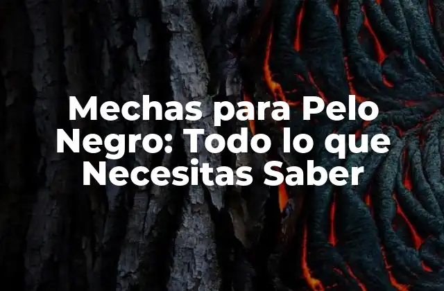 Mechas para Pelo Negro: Todo Lo que Necesitas Saber