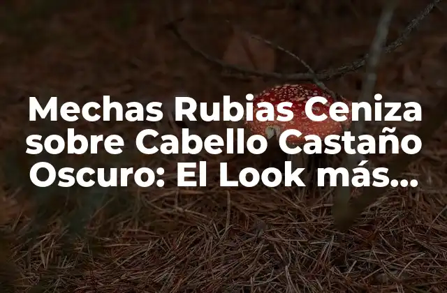 Mechas Rubias Ceniza sobre Cabello Castaño Oscuro: el Look Más Trendy