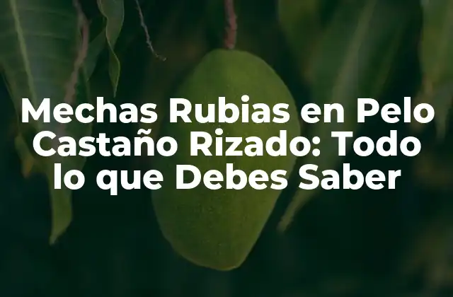 Mechas Rubias en Pelo Castaño Rizado: Todo Lo que Debes Saber