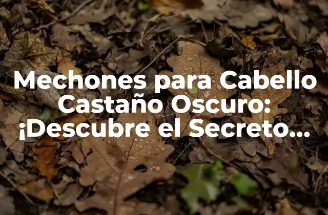 Mechones para Cabello Castaño Oscuro: ¡descubre el Secreto para un Look Único!