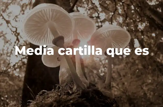 Media Cartilla que es