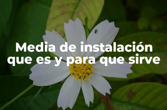 Media de Instalación que es y para que Sirve