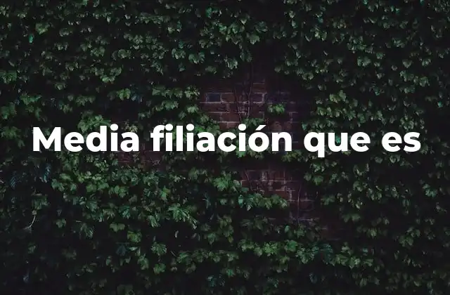 Media Filiación que es