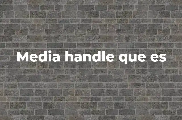 Media Handle que es 2 El papel del media handle en la gestión de contenido digital
