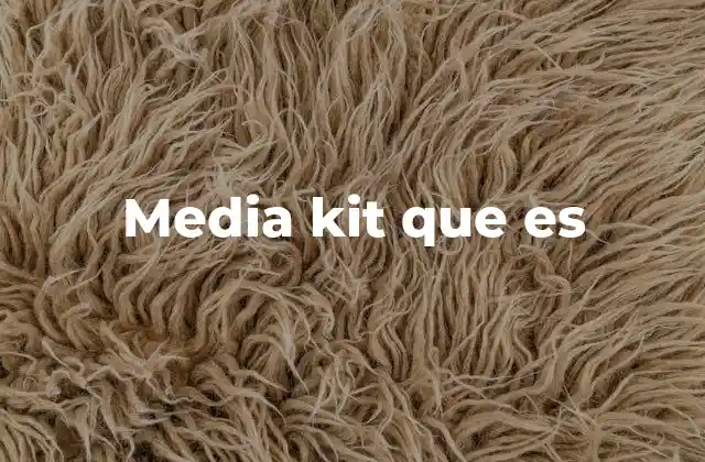 Media Kit que es