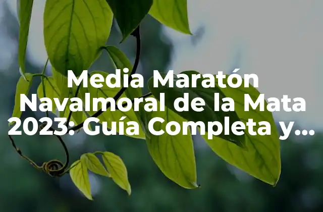 Media Maratón Navalmoral de la Mata 2023: Guía Completa y Actualizada