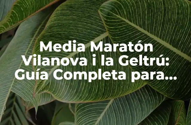 Media Maratón Vilanova I la Geltrú: Guía Completa para Corredores