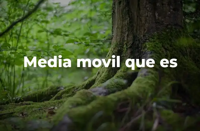 Media Movil que es