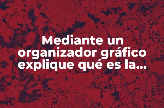 Mediante un Organizador Gráfico Explique Qué es la Oratoria