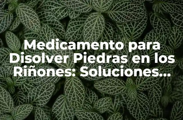Medicamento para Disolver Piedras en los Riñones: Soluciones Efectivas