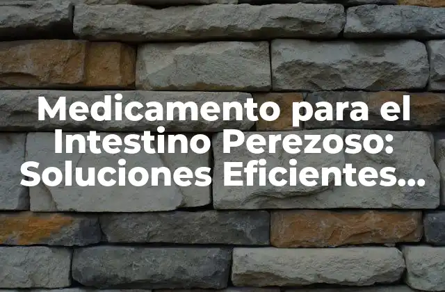 Medicamento para el Intestino Perezoso: Soluciones Eficientes para el Síndrome Del Intestino Lento
