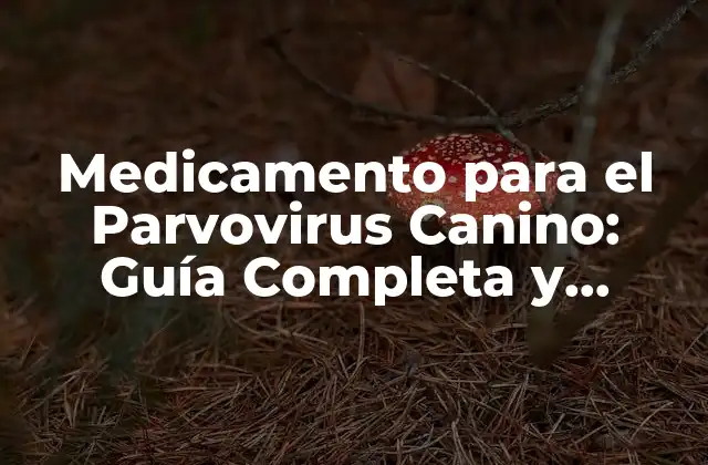 Medicamento para el Parvovirus Canino: Guía Completa y Actualizada