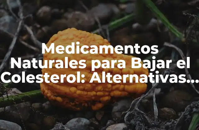 Medicamentos Naturales para Bajar el Colesterol: Alternativas Seguras y Eficaces