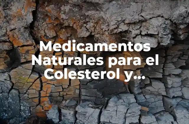 Medicamentos Naturales para el Colesterol y Triglicéridos Altos: una Guía Completa