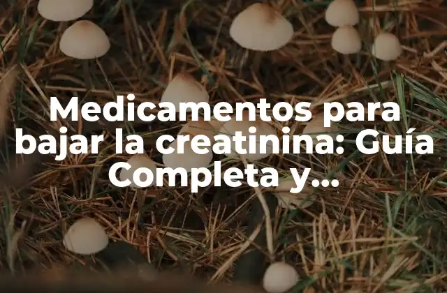 Medicamentos para Bajar la Creatinina: Guía Completa y Actualizada
