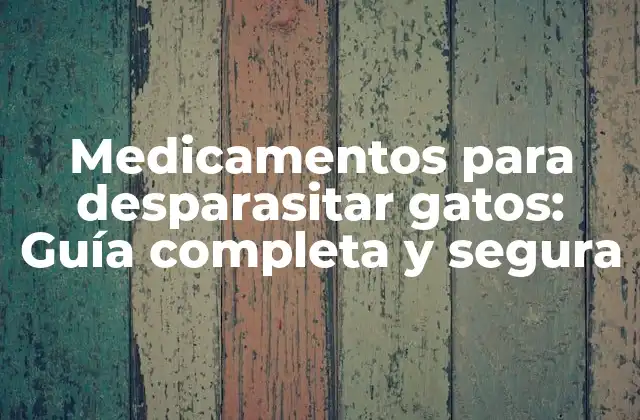 Medicamentos para Desparasitar Gatos: Guía Completa y Segura
