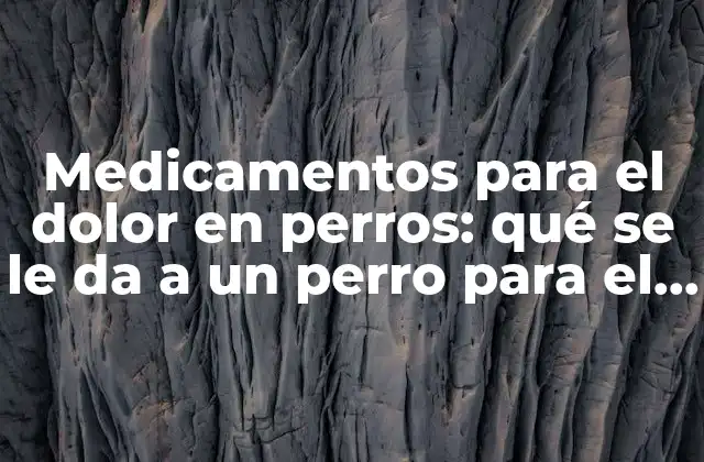 Medicamentos para el Dolor en Perros: Qué Se Le Da a un Perro para el Dolor