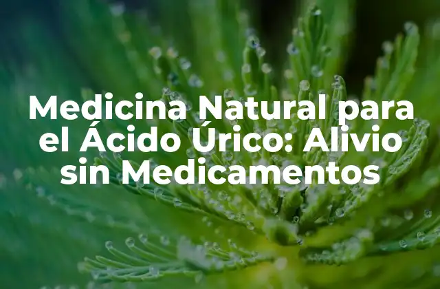 Medicina Natural para el Ácido Úrico: Alivio sin Medicamentos