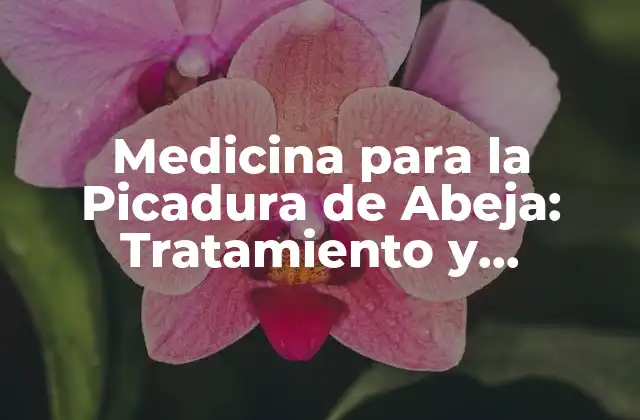 Medicina para la Picadura de Abeja: Tratamiento y Prevención de Reacciones Adversas