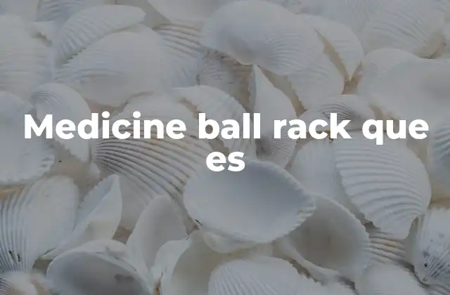 Medicine Ball Rack que es 2 La importancia de un soporte para bolas de medicina
