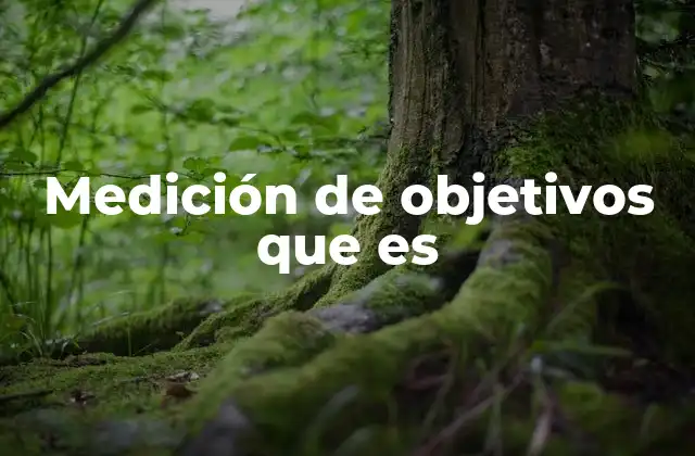 La importancia de evaluar metas y logros