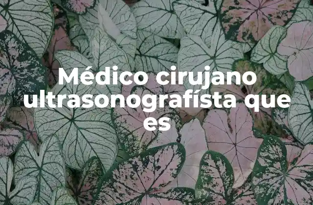 Médico Cirujano Ultrasonografísta que es