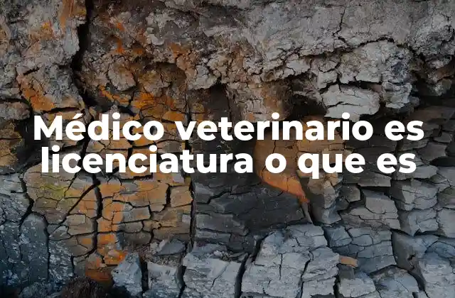 Médico Veterinario es Licenciatura o que es