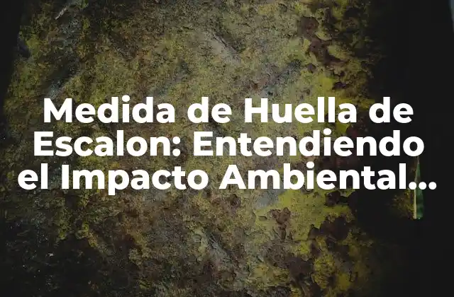 Medida de Huella de Escalon: Entendiendo el Impacto Ambiental de los Edificios