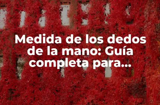 Medida de los Dedos de la Mano: Guía Completa para Entender el Tamaño de Tus Dedos