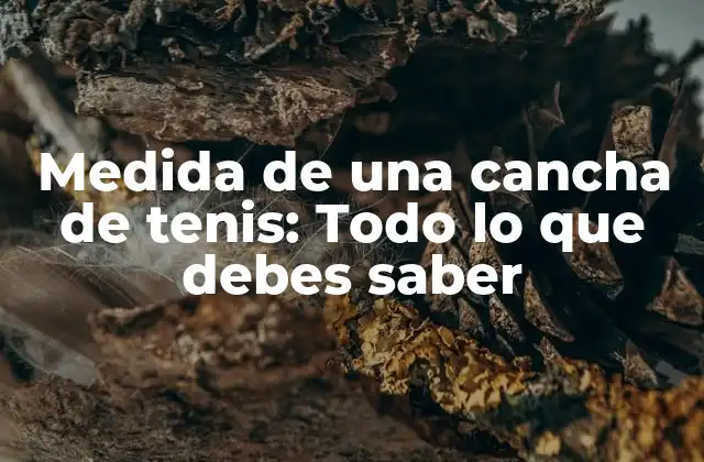 Medida de una Cancha de Tenis: Todo Lo que Debes Saber