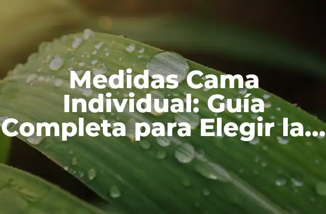 Medidas Cama Individual: Guía Completa para Elegir la Cama Perfecta