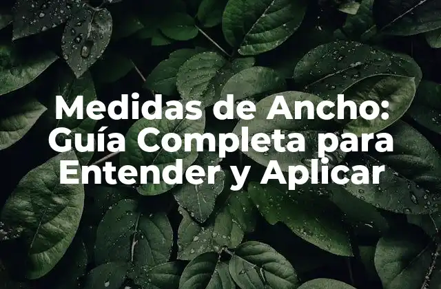 Definición y Unidades de Medida de Ancho